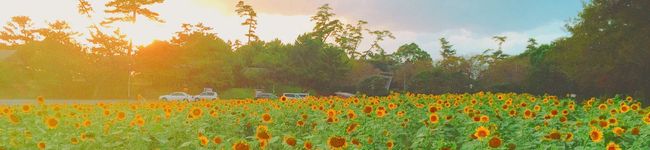 ぽんめろ's header image