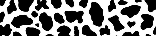 ネギトロ23's header image