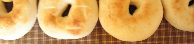 ｃｈｏｉ's header image