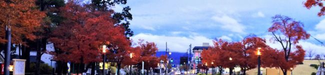 さいとうぬ's header image