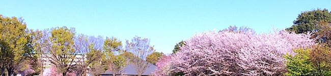 まこぴ〜♪'s header image