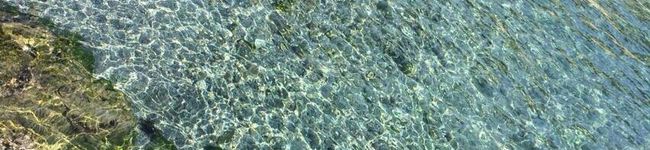 14H's header image