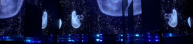 適当クック杏子☆'s header image