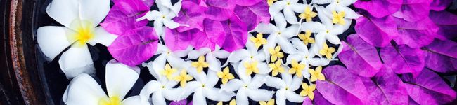 SaNG♡'s header image