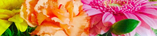 Linda98's header image
