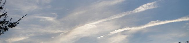 まりあんころもち's header image