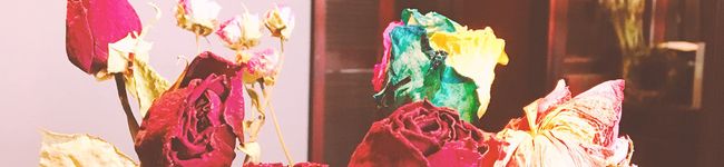 ミランコ's header image