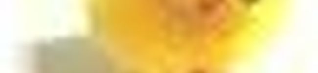 ari,'s header image