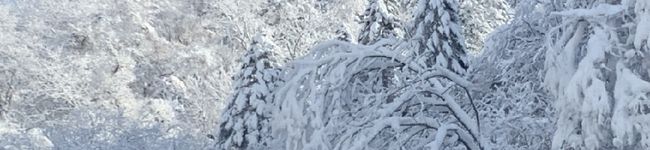 るる♫'s header image