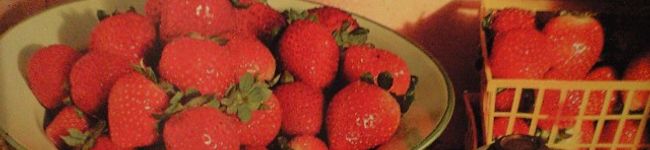 いちごぽっき's header image