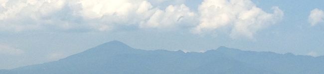 しんごまなおみそ's header image