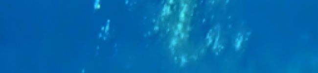 カシミアブラック's header image