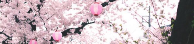 haruno﹡'s header image
