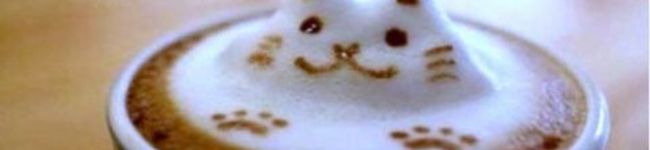 ＊:nori:＊'s header image