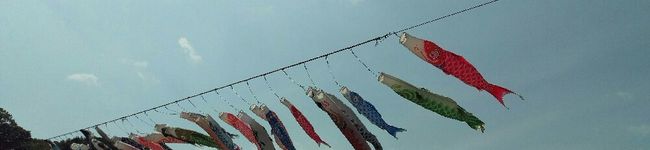 黒猫トマト's header image