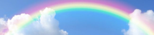 まめぴた。's header image