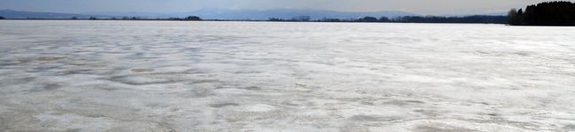VINNG's header image
