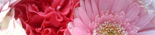 arapon's header image