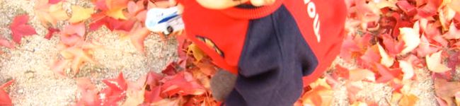 rika0406's header image