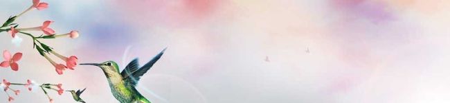 わいわい☆☆'s header image