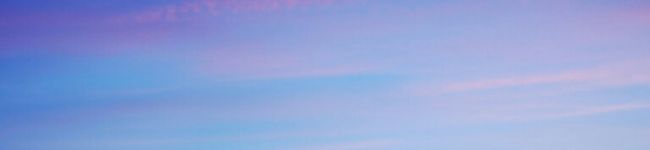 momojiroo's header image