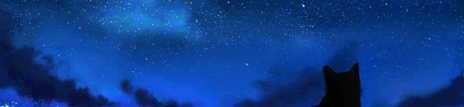 ねいびーー's header image
