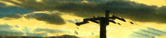 sunny1202's header image