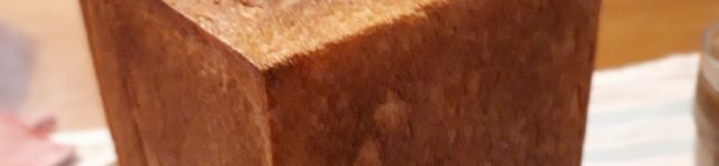 cocosally's header image