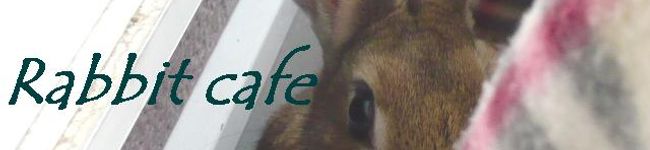 あこぅ's header image
