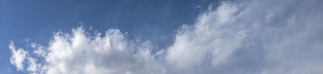 beribon's header image