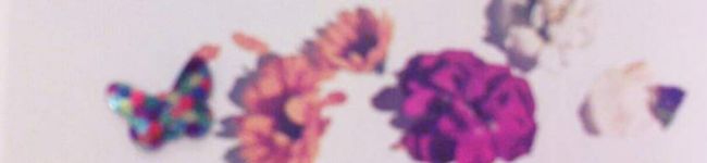 ママの優しいお菓子's header image