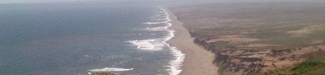 tomoxoxo's header image