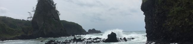 ショクジ氏's header image