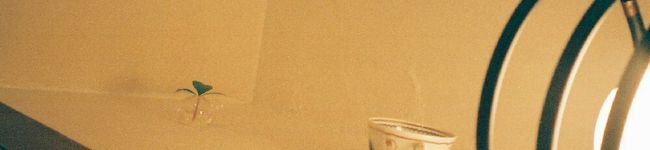 CoCo汰's header image