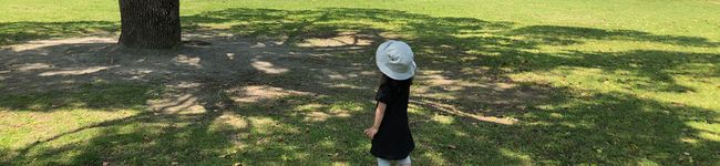 みぃーさん0311's header image