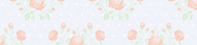 momobis3's header image