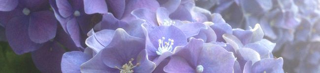 花宮結's header image