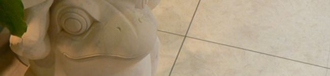 Cael's header image
