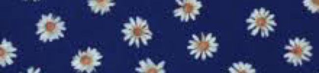 suiiiii's header image