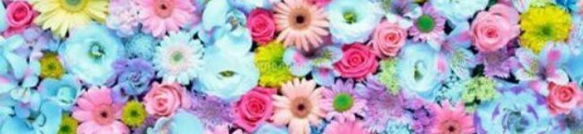 NNK✔'s header image