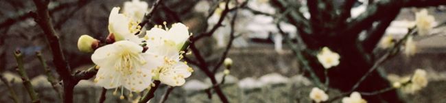 meitaro626's header image