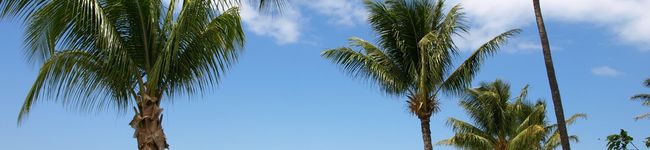 amenome's header image