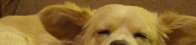 ☆erikevcp☆'s header image