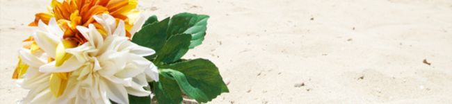 keito★☆★'s header image