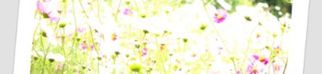 hallelujahCAFE's header image