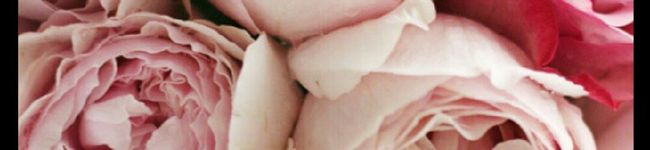 ひな実's header image