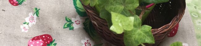 YONPO's header image