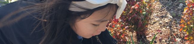 r__iman's header image