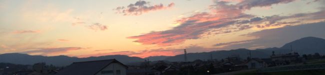 amyasunao's header image