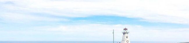 トリピティ's header image